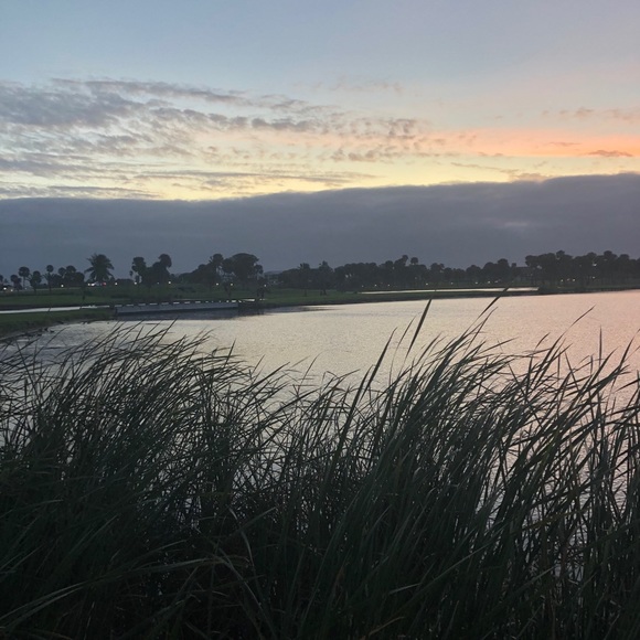 Meet your Posher, Andi. - Picture 1 of 1